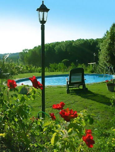 Swimming pool of the farmhouse A casa di dona