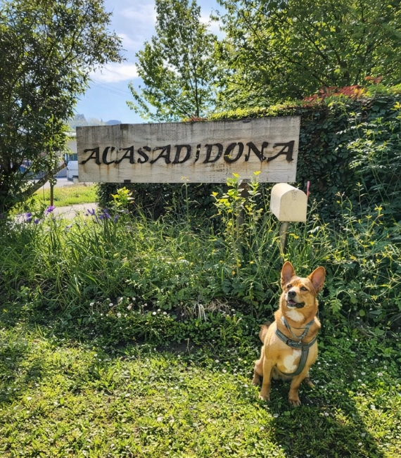 agriturimo san gimignano animali ammessi
