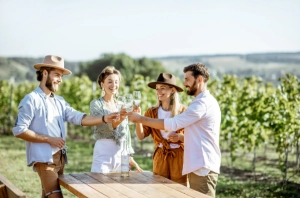 Degustazione in vigna a San Gimignano